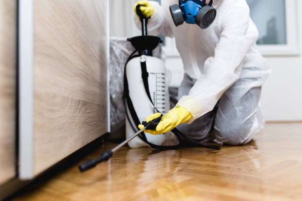 Best Pest Inspection Near Me  in Yuc Valley, CA