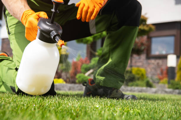 Best Pest Control for Homes  in Yuc Valley, CA