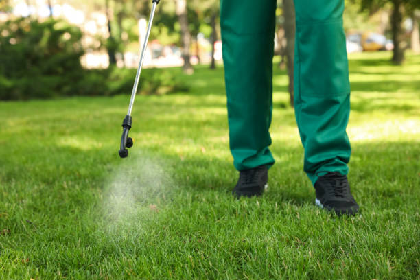 Best Exterminator Services  in Yuc Valley, CA