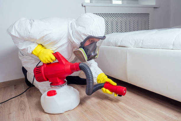 Wasp Removal Services in Yucca Valley, CA