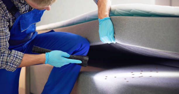 Best Local Pest Control Services  in Yuc Valley, CA