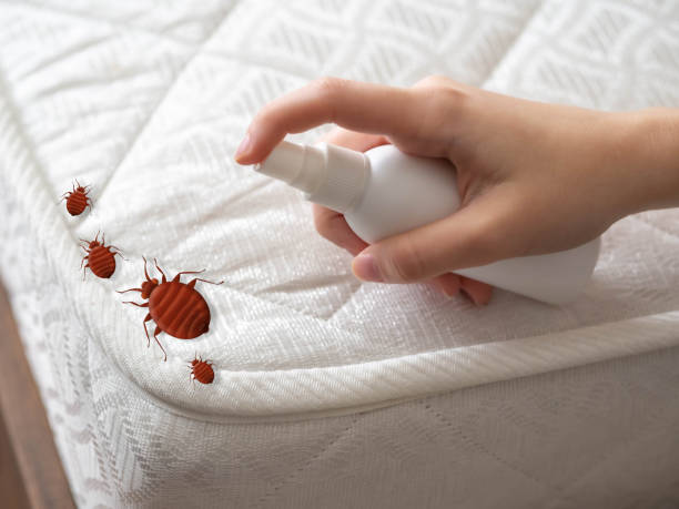 Best Pest Control Near Me  in Yuc Valley, CA