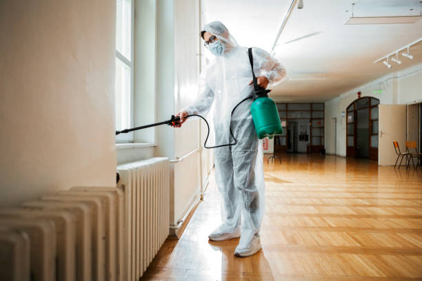 Best Affordable Pest Control Services  in Yuc Valley, CA